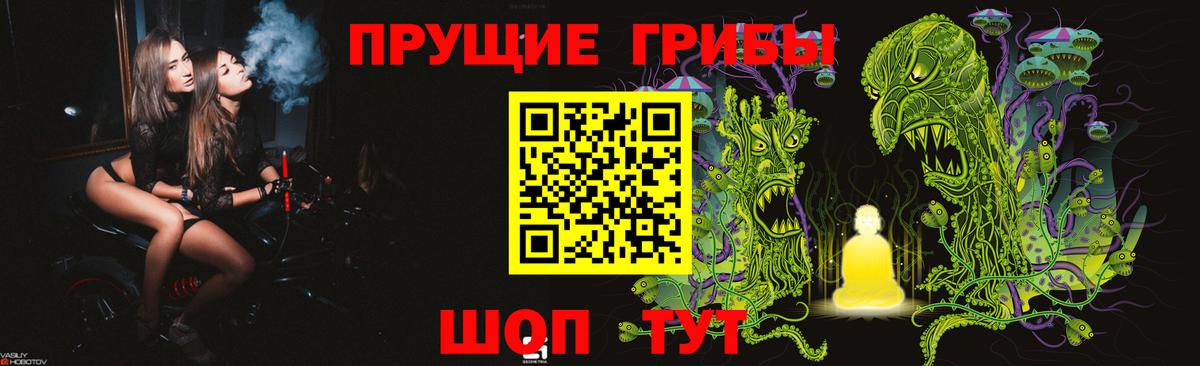 Галлюциногенные грибы MAGIC MUSHROOMS  Вход с VPN  Боровичи 